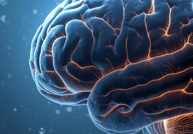 Human brain filtering memories and attention